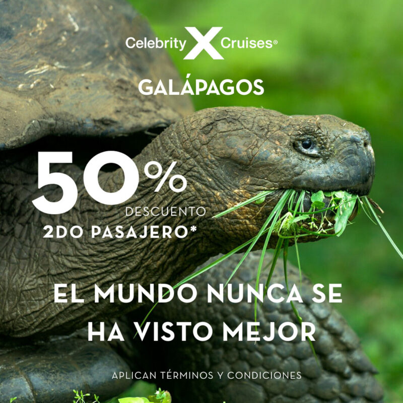 TORTUGA EN ISLA GALAPAGOS